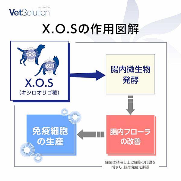 最短賞味2028.1.21・モンジ ベッツソリューション 猫用 尿中ストルバイトサポート 400g療法食 泌尿器疾患対応 正規品ve83026 |  | 09