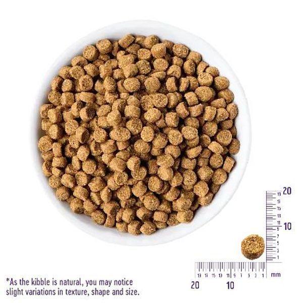 最短賞味2027.10.10・ウェルネス 猫 ヘルシーバランス チキン2.8kg(400g×7袋)室内猫用(1歳以上)キャットフード正規品we42851 | WELLNESS（ペット） | 01