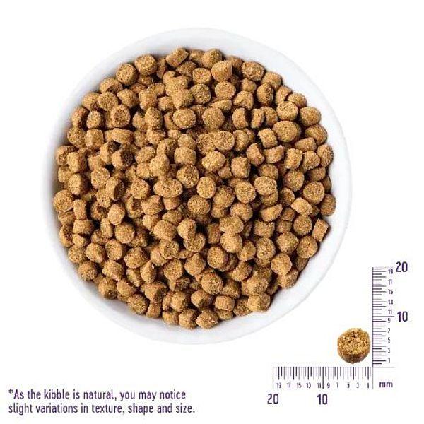 最短賞味2027.5.22・ウェルネス 猫 ヘルシーバランス プロテインケア300g成猫用(1歳以上)キャットフード正規品we62870 | WELLNESS（ペット） | 01