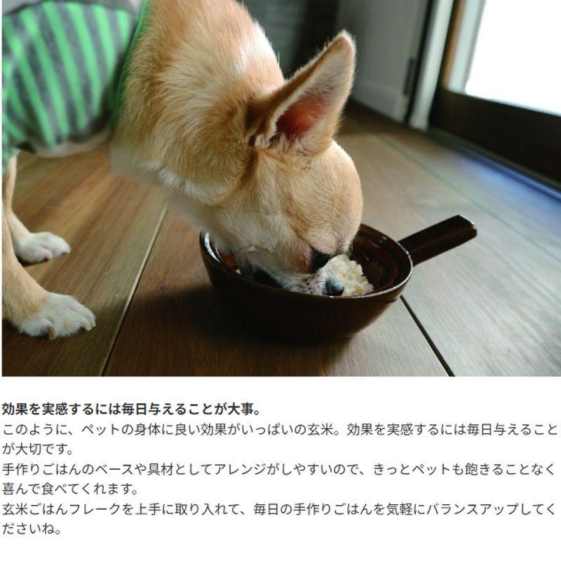 最短賞味2027.3・ホワイトフォックス 玄米ごはんフレーク 100g犬猫用手作りごはんwhitefox wf70113 | white fox | 05