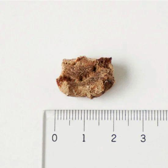 最短賞味2027.5・ホワイトフォックス エゾ鹿のフリーズドライ 犬猫 30g犬猫用おやつwf70670正規品 |  | 01