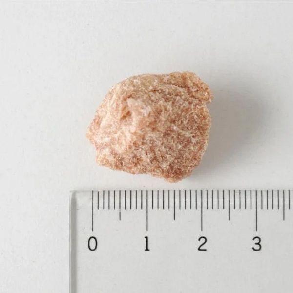 最短賞味2027.2・ホワイトフォックス 石見ポークのフリーズドライ 犬猫 10g犬猫用おやつwf70922正規品 |  | 01