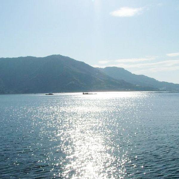 最短賞味2027.2・ホワイトフォックス 北海道産真鱈のフリーズドライ 12g犬猫用おやつwf71127正規品 |  | 04