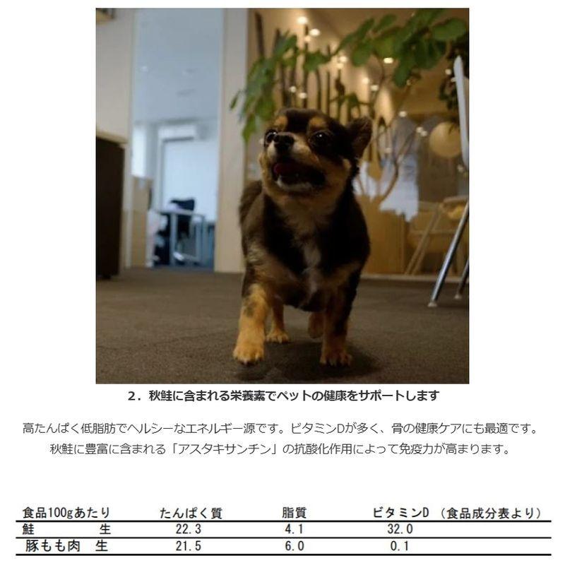 NEW 最短賞味2027.4・ホワイトフォックス 北海道産秋鮭のフリーズドライ ダイスカット 120g犬猫用おやつwf71196正規品 | white fox | 05