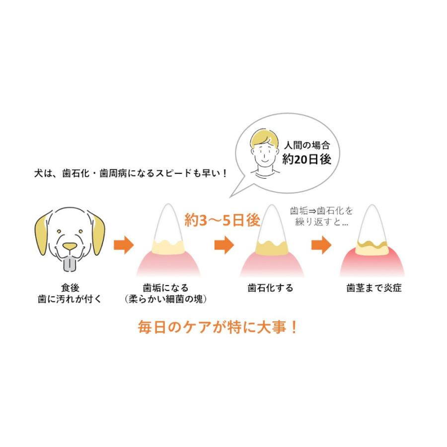 最短賞味2027.5・ホワイトフォックス マヌカハニーのはみがきガム 10本 犬用おやつwf72506正規品 | white fox | 05