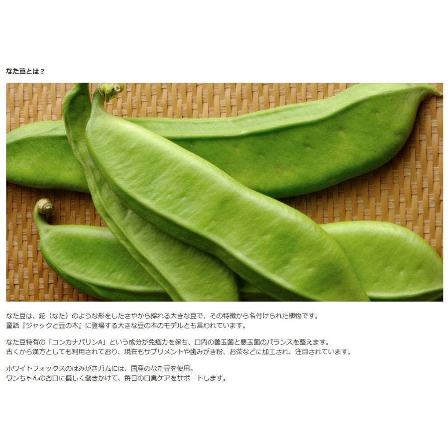 NEW 最短賞味2027.4・ホワイトフォックス なた豆のはみがきガム 10本 犬用おやつwf72520正規品 | white fox | 01