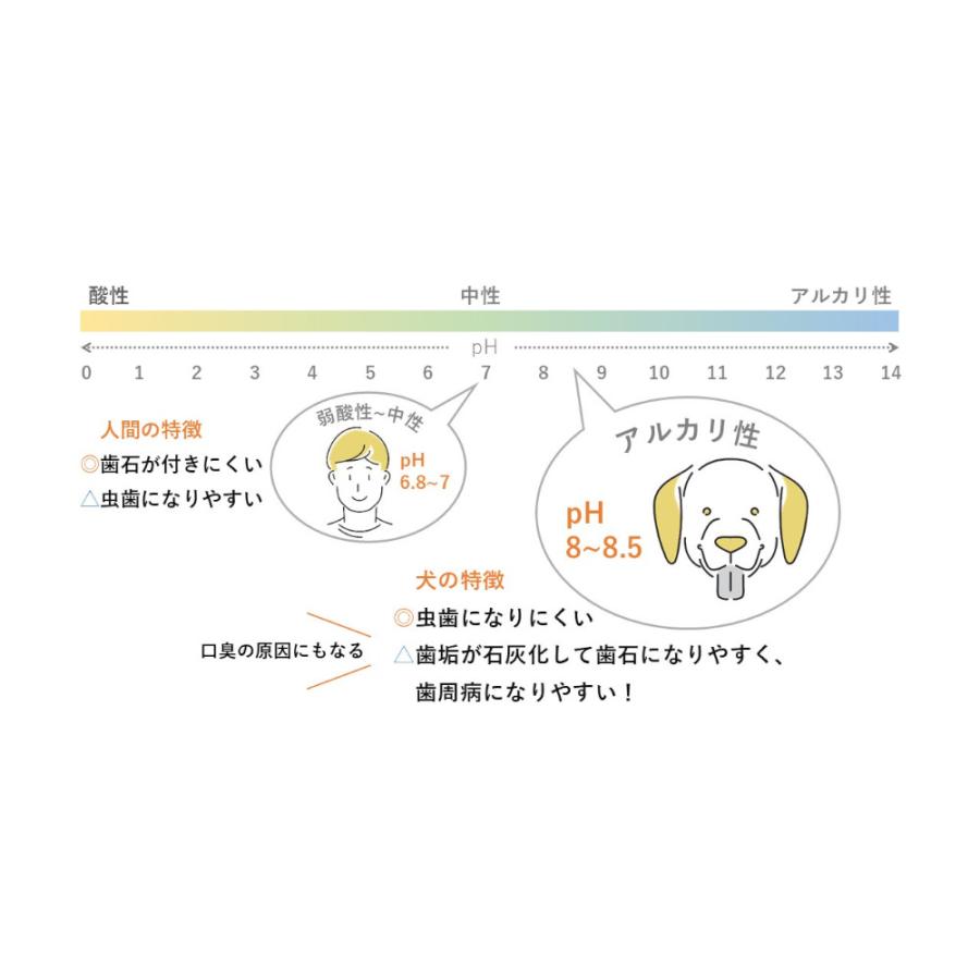 NEW 最短賞味2027.4・ホワイトフォックス なた豆のはみがきガム 10本 犬用おやつwf72520正規品 | white fox | 05
