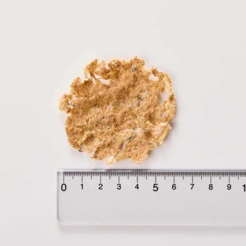 NEW 最短賞味2027.8・ホワイトフォックス 瀬戸内海産ふんわり焼きちりめん かつお 8g wf75309犬猫用おやつ ふりかけ white fox | white fox | 02