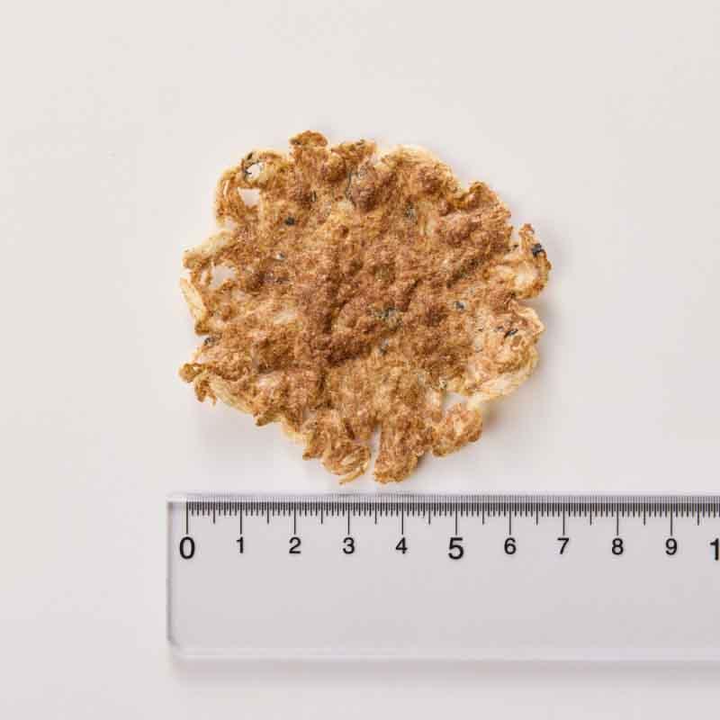 NEW 最短賞味2027.8・ホワイトフォックス 瀬戸内海産ふんわり焼きちりめん あじ 8g wf75316犬猫用おやつ ふりかけ white fox | white fox | 02