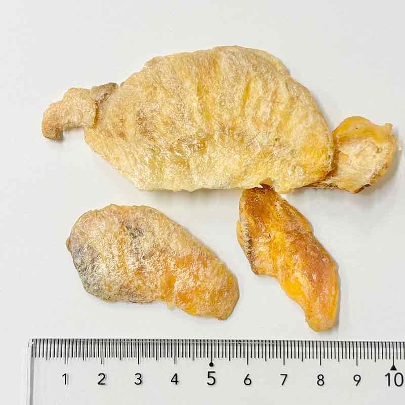 NEW 最短賞味2027.8・ホワイトフォックス 瀬戸内海産 焼き えい 20g wf75330犬猫用おやつ white fox | white fox | 02
