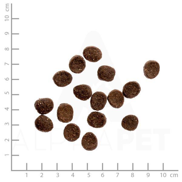 最短賞味2026.12・ワイルドランド 猫 チキン1.2kg/wl05641成猫用総合栄養食/穀物不使用WILDES LAND※在庫限り終売 |  | 01