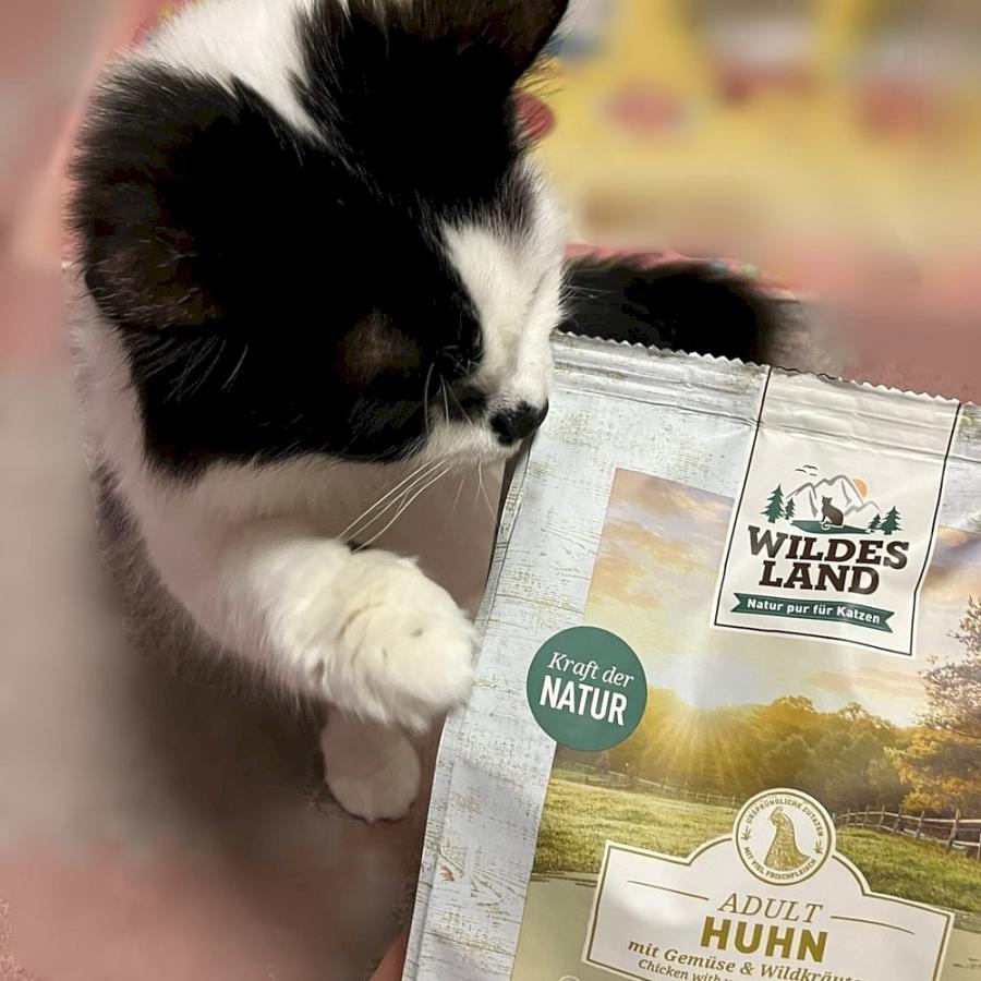 最短賞味2026.12・ワイルドランド 猫 チキン1.2kg/wl05641成猫用総合栄養食/穀物不使用WILDES LAND※在庫限り終売 |  | 05