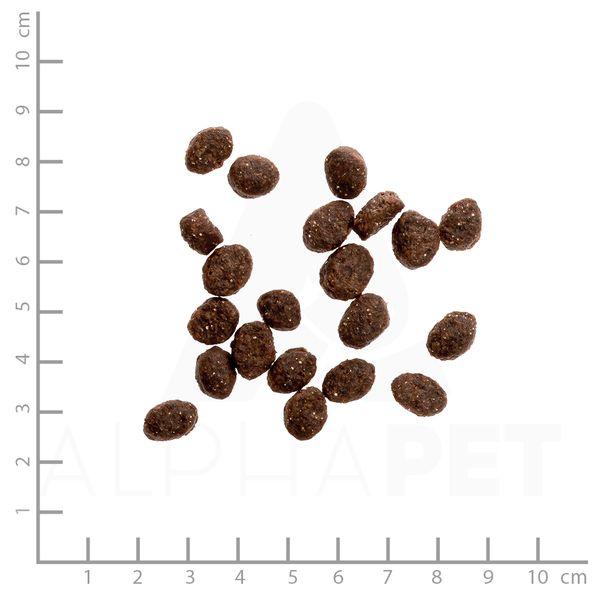 最短賞味2026.8・ワイルドランド 猫 ビーフ＆ダック1.2kg/wl05702成猫用総合栄養食/穀物不使用WILDES LAND※在庫限り終売 |  | 01