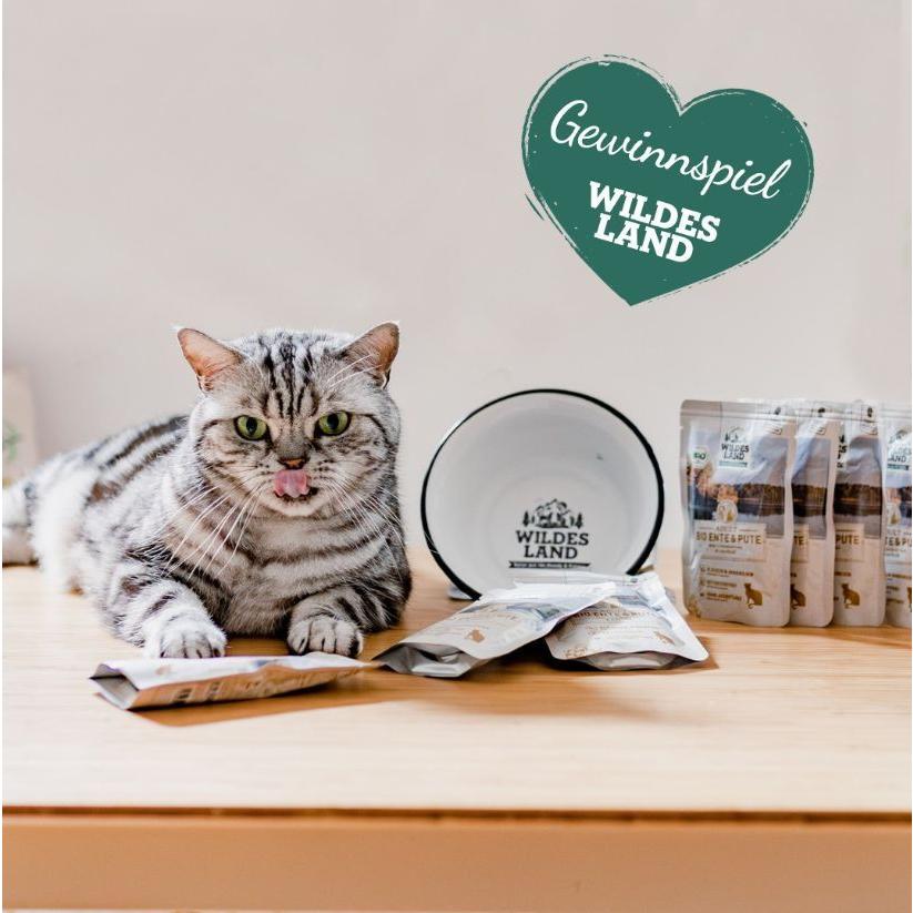 最短賞味2027.12・ワイルドランド チキン＆サーモン クランベリー入り 400g缶wl33822成猫用総合栄養食/穀物不使用 ※在庫限り終売 |  | 04