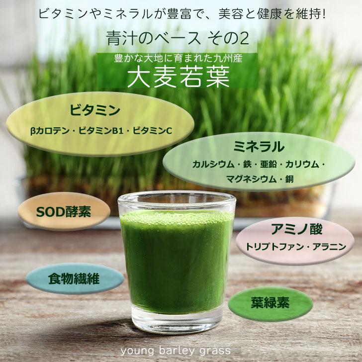 酪酸菌が入ったおなかの青汁 30日分 : NACHULIヤフー店 - 通販 - Yahoo