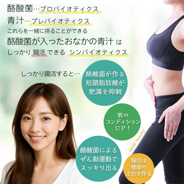 酪酸菌が入ったおなかの青汁 120日分 4箱セット : NACHULIヤフー店