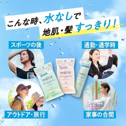【24本】メリット　merit DAY+ ドライシャンプー 130g Merit メリットデイプラス ドライシャンプー 130g : NACIO LIFE - 通販