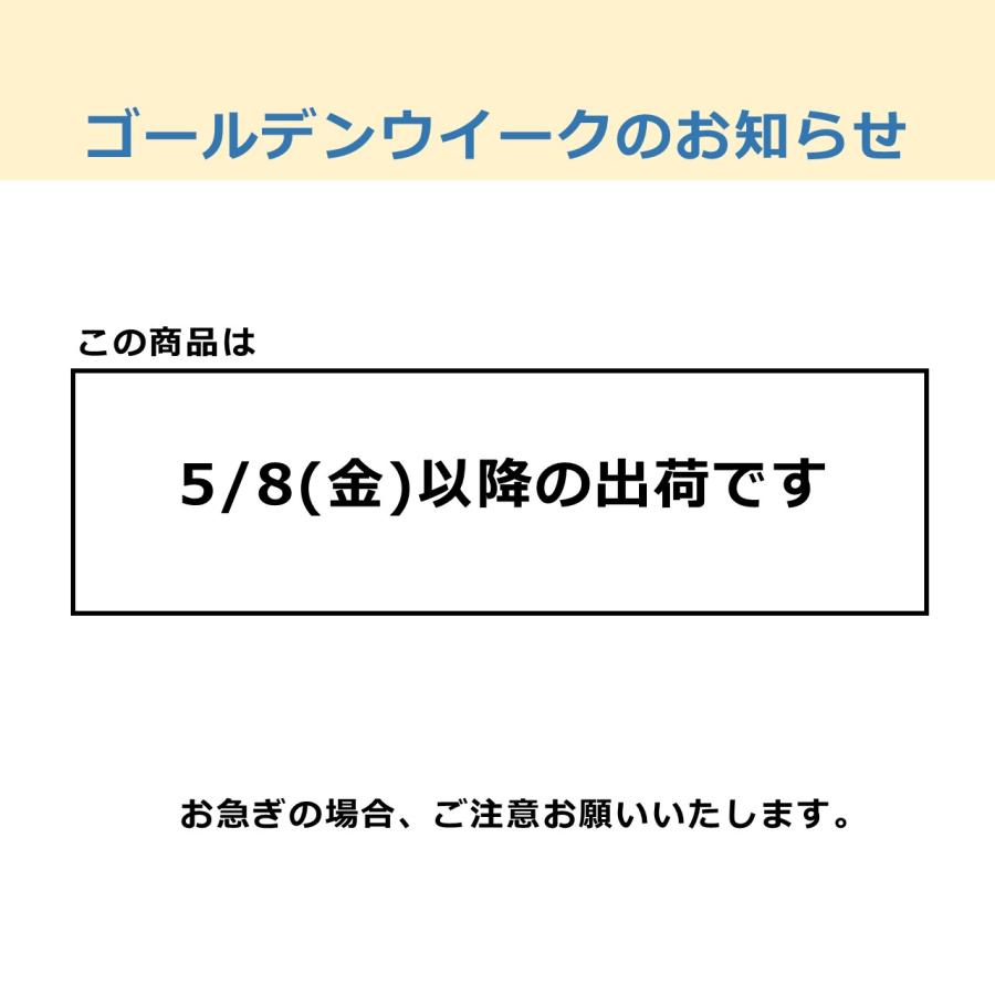 日立（HITACHI） 掃除機 紙パック式クリーナー かるパック CV-KP300P-C