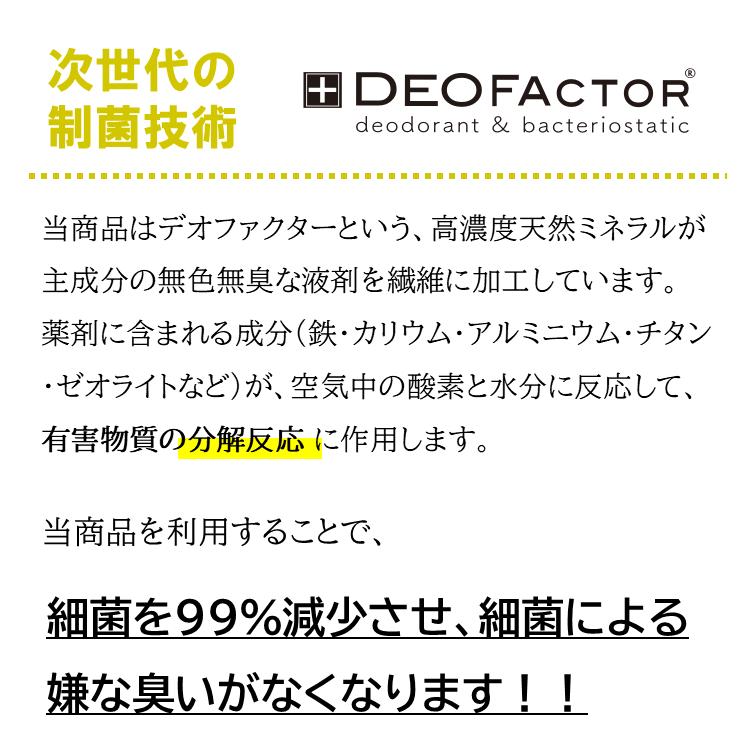 【レビュー投稿価格】 臭わない 靴下 アンクル丈 抗菌を超える 制菌 ソックス デオファクター 防臭 ソックス アンクル 25〜27cm 新品 送料無料 DEOFACTOR |  | 05