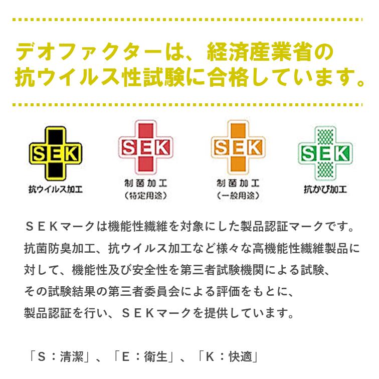 【レビュー投稿価格】 臭わない 靴下 アンクル丈 抗菌を超える 制菌 ソックス デオファクター 防臭 ソックス アンクル 25〜27cm 新品 送料無料 DEOFACTOR |  | 09