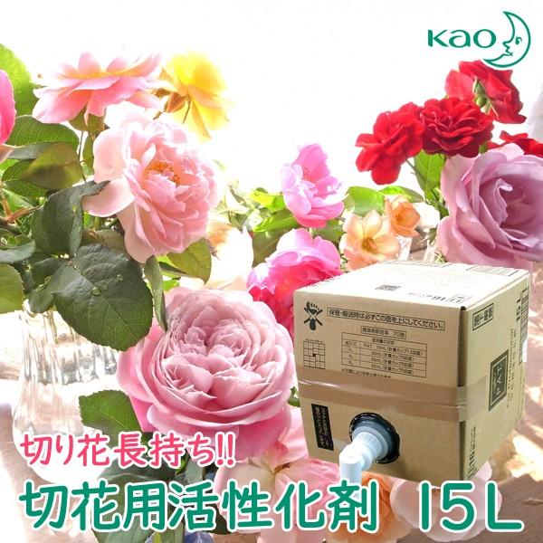 Pat 切花用活性化剤 肥料 薬品 業務用15リットル 長持ち 肥料 活力剤 切り花 切花延命剤 活力剤 活力剤 花王 Pat 15l ギフトショップナコレ店