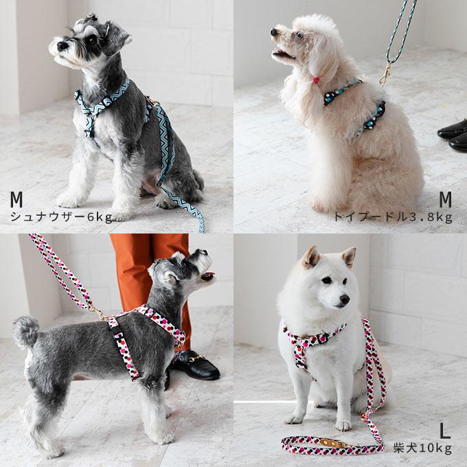 今なら本革製ネームタグプレゼント 日本製 犬 犬用 ハーネス リード セット お揃い ラグジュアリーシリーズ かわいい おしゃれ 犬具 胴輪 小型犬 中型犬 ナコル |  | 15