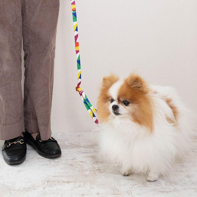 今なら本革製ネームタグプレゼント 日本製 犬 犬用 首輪 リード セット お揃い ラグジュアリーシリーズ かわいい おしゃれ 犬具 胴輪 小型犬 中型犬 ナコル |  | 12