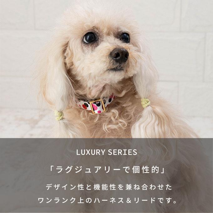 今なら本革製ネームタグプレゼント 日本製 犬 犬用 首輪 リード セット お揃い ラグジュアリーシリーズ かわいい おしゃれ 犬具 胴輪 小型犬 中型犬 ナコル |  | 02
