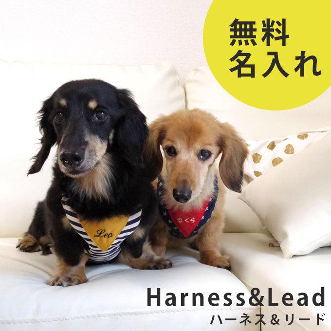 お名前 無料刺繍 ハーネス リード セット 犬 小型犬 脱げない 簡単 おしゃれ お散歩 名入れ 刺繍 かわいい ネコポスOK 日本製 | 