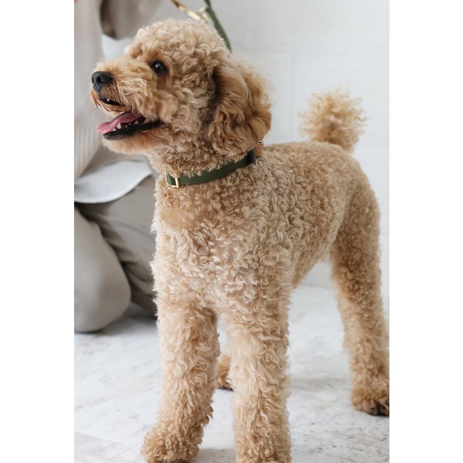 無料名入れ 刺繍 犬 首輪 犬用 おしゃれ　かわいい　小型犬　中型犬 犬の首輪　シンプル  日本製 ナコル |  | 01