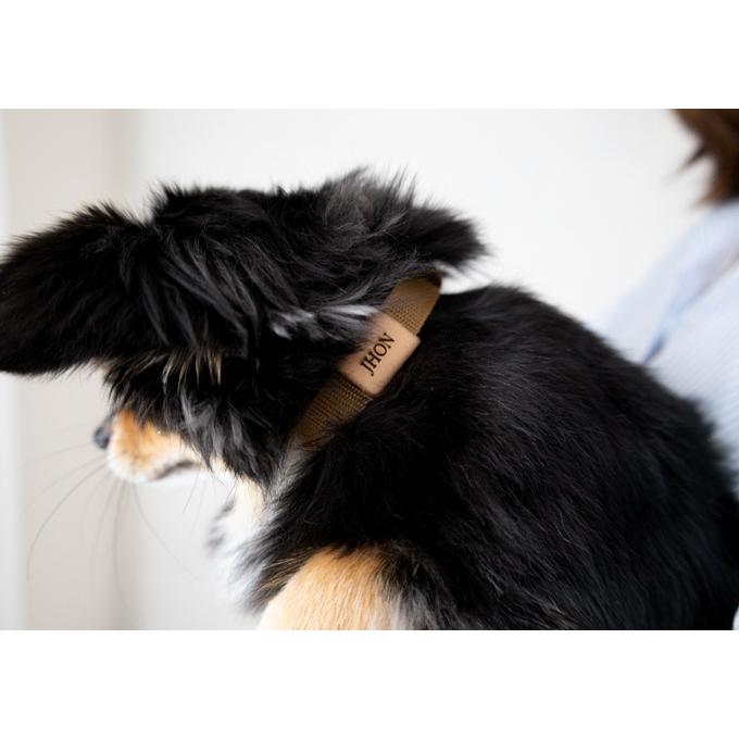 無料名入れ 刺繍 犬 首輪 犬用 おしゃれ　かわいい　小型犬　中型犬 犬の首輪　シンプル  日本製 ナコル｜nacoledog｜17
