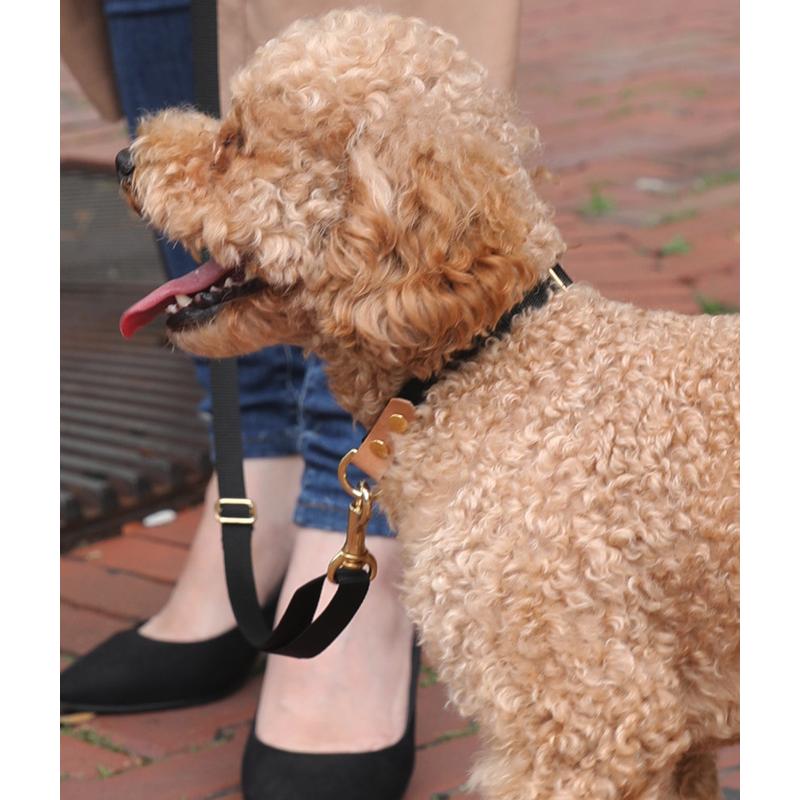 無料名入れ 刺繍 犬 首輪 犬用 おしゃれ　かわいい　小型犬　中型犬 犬の首輪　シンプル  日本製 ナコル｜nacoledog｜05