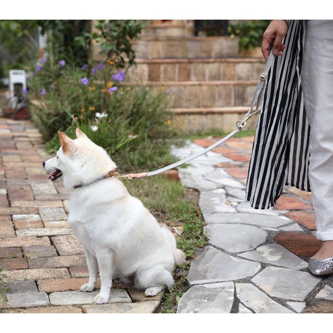 無料名入れ 刺繍 犬 首輪 犬用 おしゃれ　かわいい　小型犬　中型犬 犬の首輪　シンプル  日本製 ナコル |  | 08