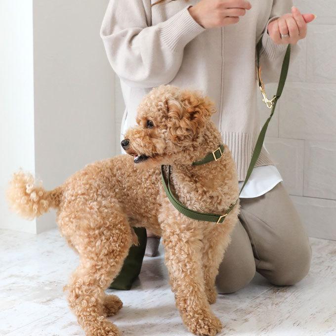 送料無料 リード 単品 おしゃれ 革 犬 犬用 小型犬 中型犬 散歩 ブランド 日本製 ナコル |  | 10