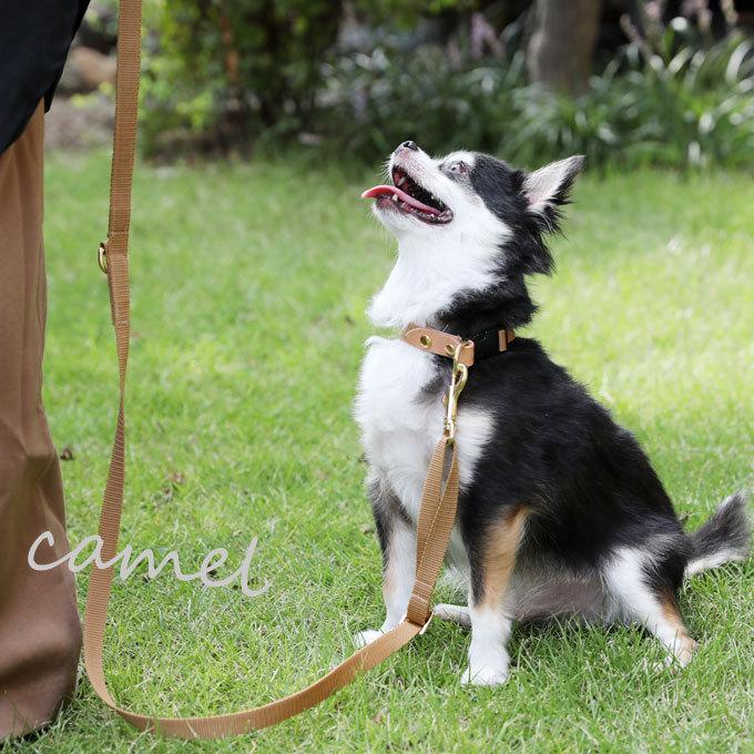 送料無料 お名前無料刺繍 リード 首輪 セット おしゃれ 革 名前入り 犬 犬用 小型犬 中型犬 散歩 ブランド 刺繍 日本製 ナコル |  | 09