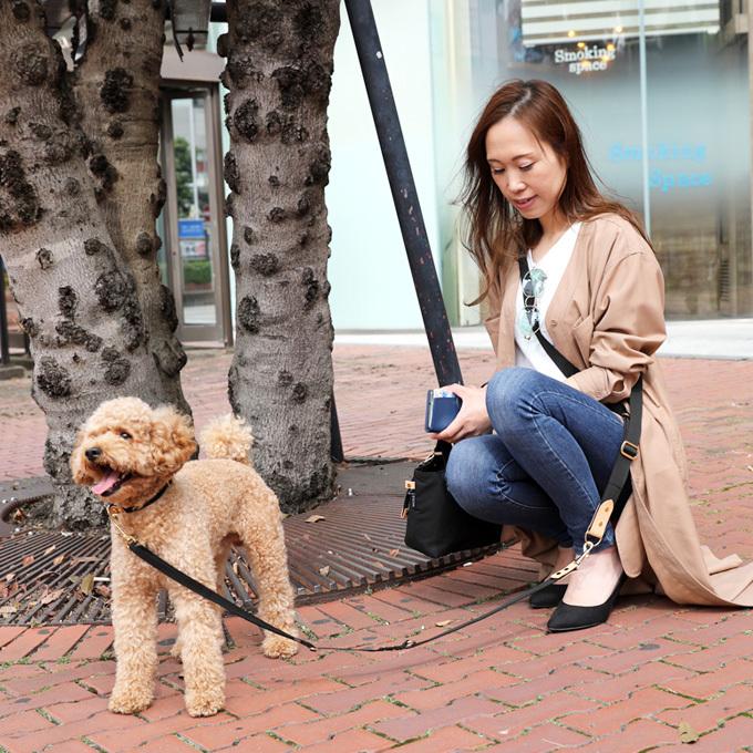 お名前無料刺繍 ショルダーリード 首輪 セット おしゃれ 革 名前入り 犬 犬用 小型犬 中型犬 多頭飼い 多頭用 散歩 ブランド 刺繍 ネコポス配送OK 日本製 ナコル |  | 02