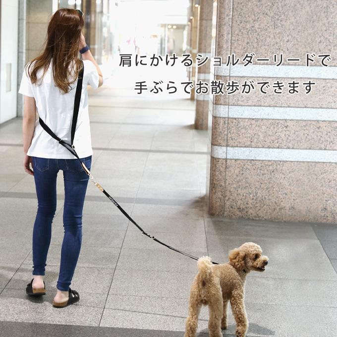 お名前無料刺繍 ショルダーリード 首輪 セット おしゃれ 革 名前入り