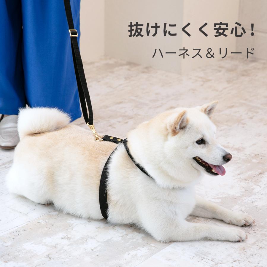 抜けにくい 日本製 犬用 8の字 ハーネス リード セット すっぽ抜けない 着脱簡単 犬具 胴輪 小型犬 中型犬 お散歩 シンプル 上品 抜け防止 犬用品 nacole ナコル | 