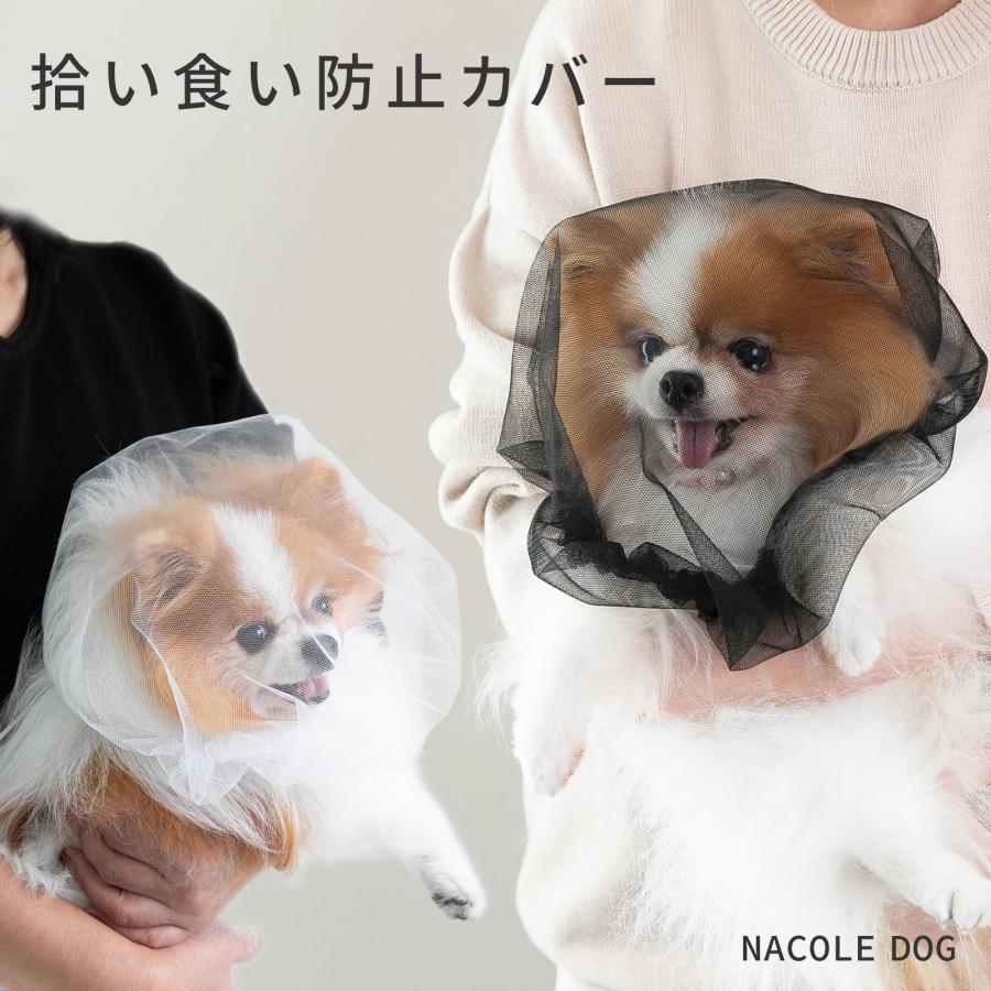 子犬 拾い 食い