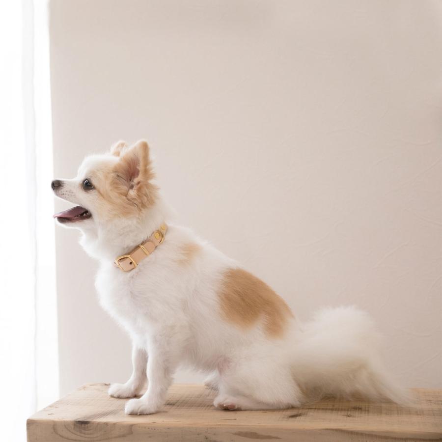 お名前無料刻印 犬 首輪 犬用  レザー 本革 ヌメ革 小型犬 中型犬 名入れ  犬の首輪 おしゃれ 日本製 ナコル |  | 02