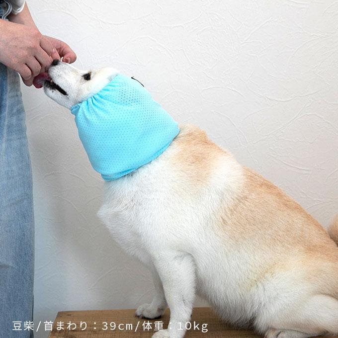 雨の日のお散歩にも 撥水 メッシュ ペット用 スヌード 耳カバー 耳汚れ防止 食事スヌード サイズ調節可能 フリーサイズ おしゃれ 犬 いぬ 日本製 ナコル |  | 11