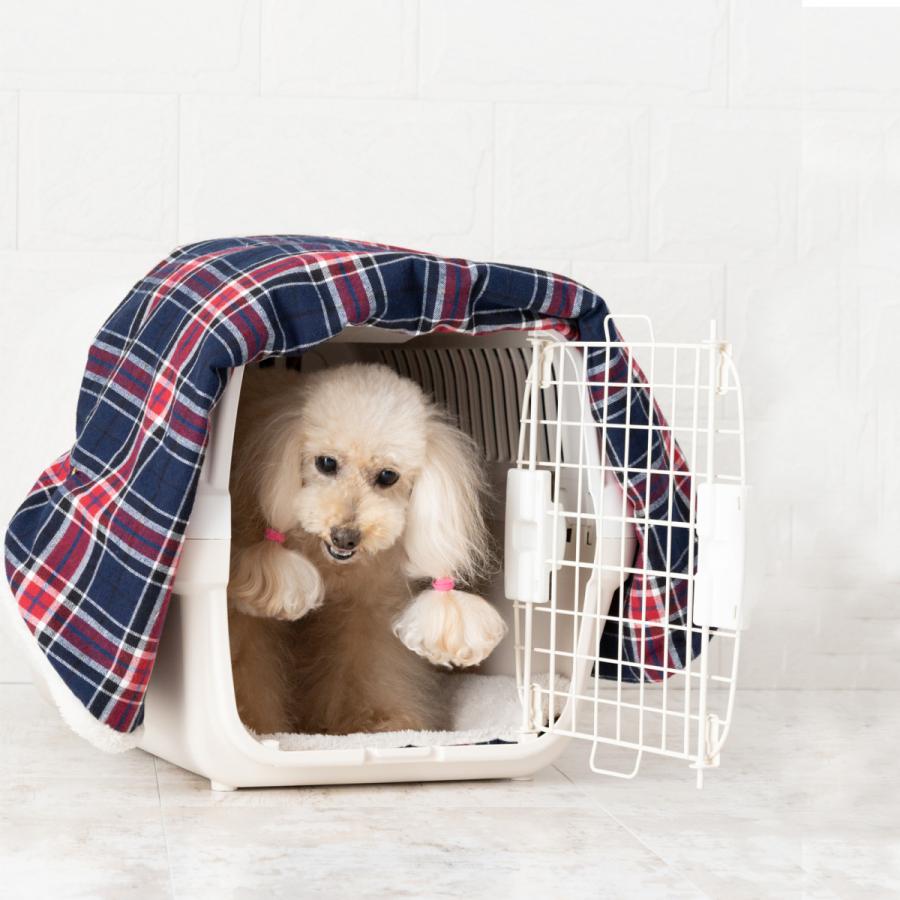 最新号掲載アイテム 名入れ無料 オールシーズン キャリーケース カバー クレートカバー 日本製 ペット 犬 猫 お出かけ おしゃれ かわいい ネコポス不可 ナコル Aynaelda Com