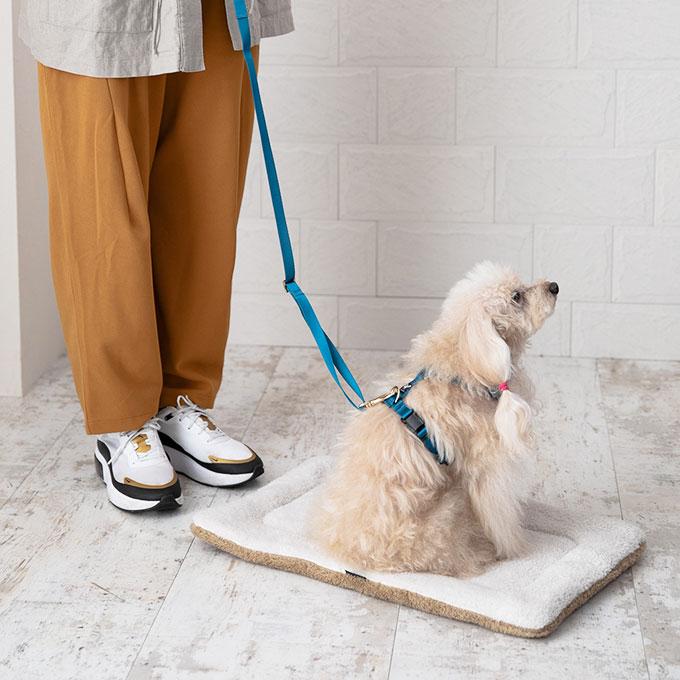 今なら本革製ネームタグプレゼント 日本製 犬 犬用 リード 単品 スタイリッシュシリーズ シンプル 上品 おしゃれ お揃い 犬具 胴輪 小型犬 中型犬 ナコル |  | 05