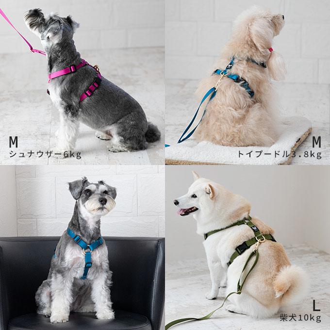 今なら本革製ネームタグプレゼント 日本製 犬 犬用 ハーネス 単品 スタイリッシュシリーズ シンプル 上品 おしゃれ お揃い 犬具 胴輪 小型犬 中型犬 ナコル |  | 12
