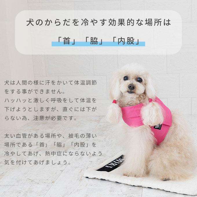 日本製 特許申請済み クールベルト ペット 犬 夏 暑さ対策 熱中症対策