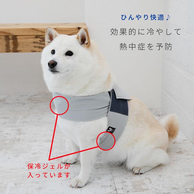 日本製 特許申請済み クールベルト ペット 犬 夏 暑さ対策 熱中症対策