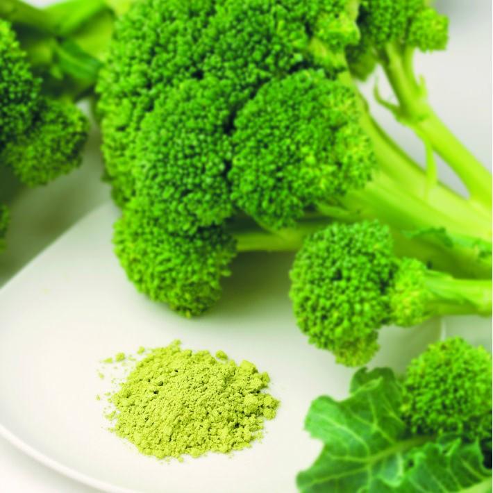 野菜パウダー ブロッコリーファインパウダー 40g 離乳食初期から使える 無添加 国産野菜100