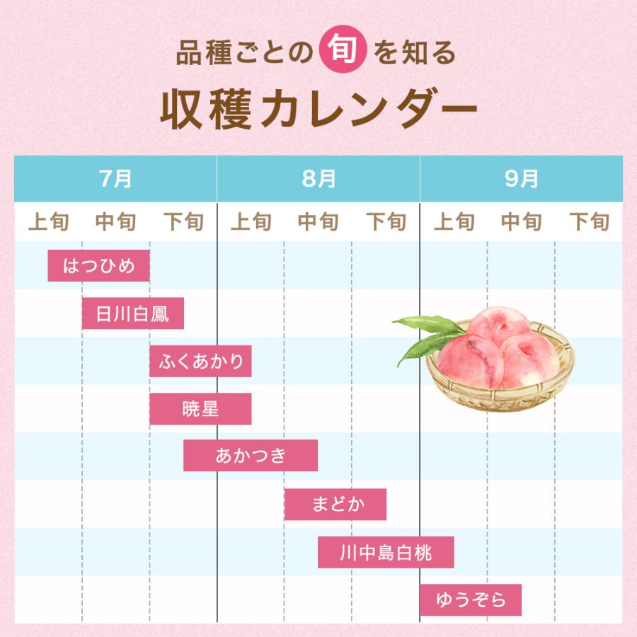 桃 福島 ミスピーチ 特秀品 白桃系 硬めの晩成種 1箱6-7玉入 約2kg 8月18日-9月12日頃発送 ギフト もも モモ 果物 フルーツ 日付指定不可 同梱不可 沖縄不可 |  | 14