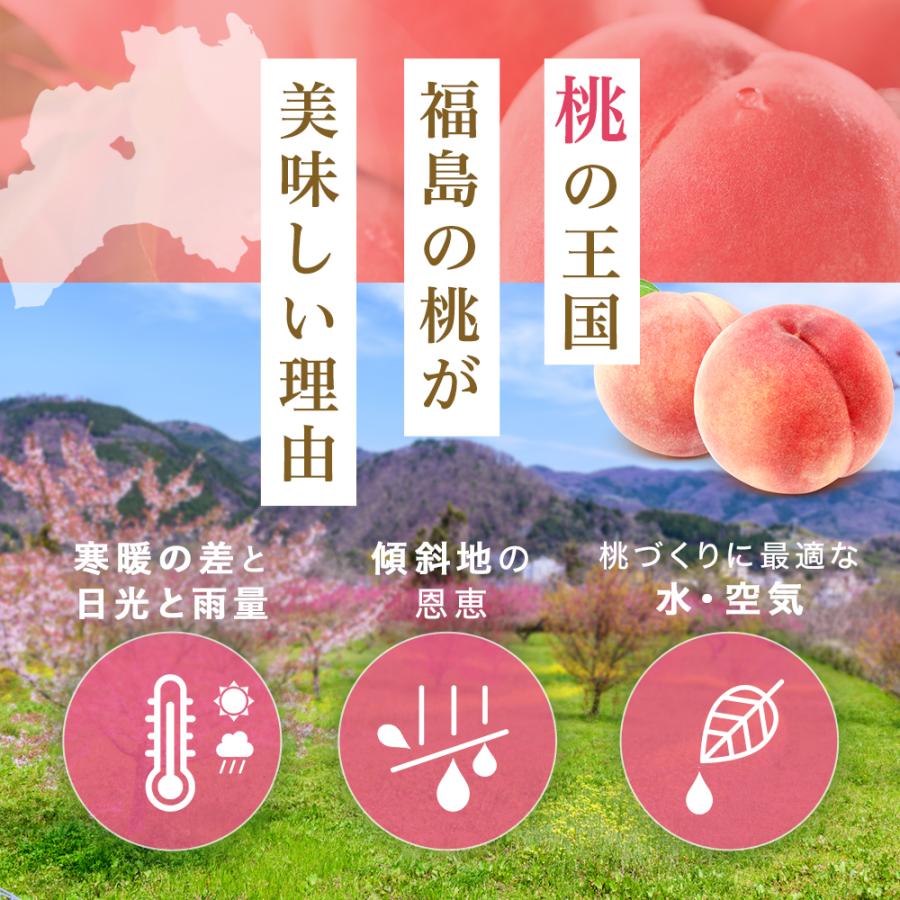 桃 福島 ミスピーチ 特秀品 あかつき 品種限定 1箱7玉入 約2kg お中元