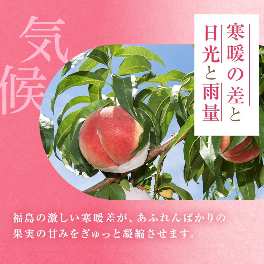 桃 福島 ミスピーチ 特秀品 あかつき 品種限定 1箱7玉入 約2kg お中元